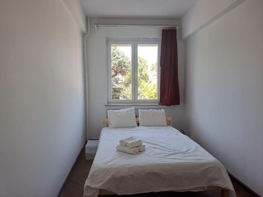 Spacious Apartment Next To Parc Du Cinquantenaire Брюссель Экстерьер фото